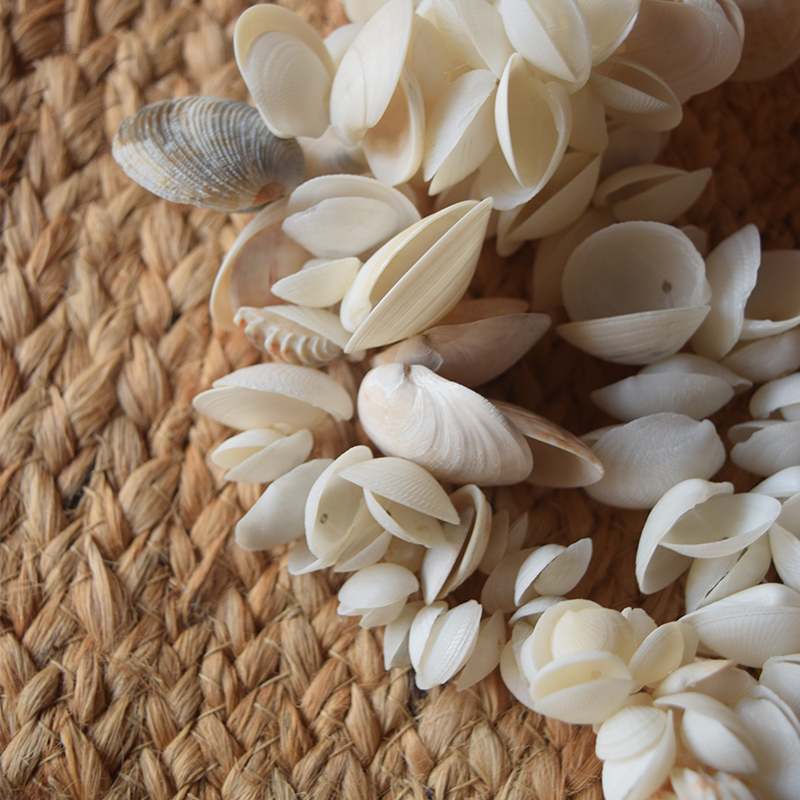 Colar de Mesa com Conchas Grandes artesanal — terceira imagem